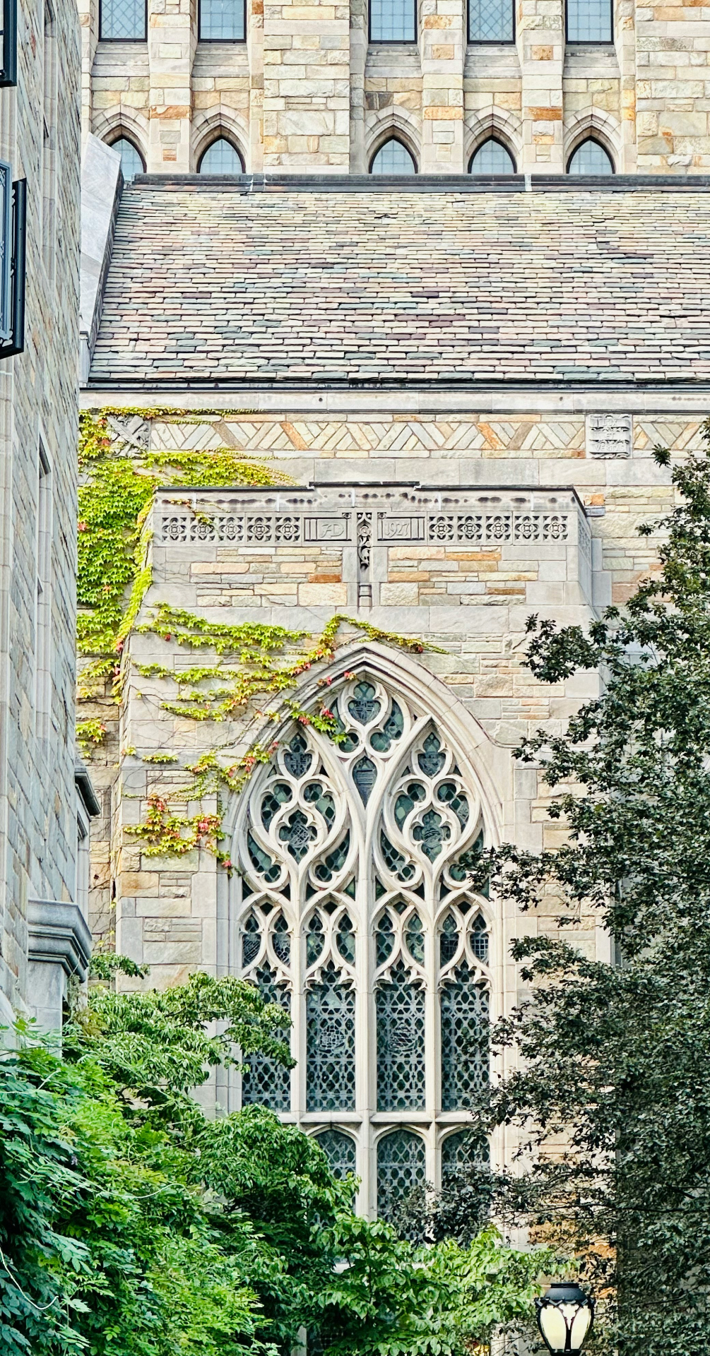 A college application essay marked up with margin notes from a former admissions officer